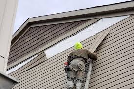 Historical Building Siding Restoration in Wacousta, MI